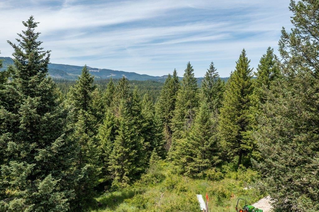 891 Roberts Dr, Newport, WA 99156 photo 21