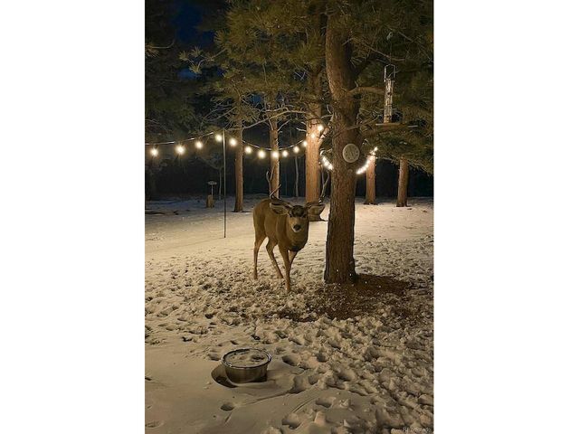 840 Wagon Wheel Rd, Hartsel, CO 80449