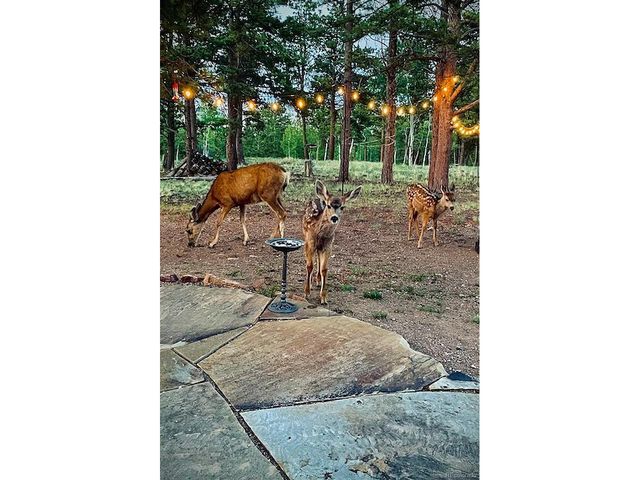 840 Wagon Wheel Rd, Hartsel, CO 80449