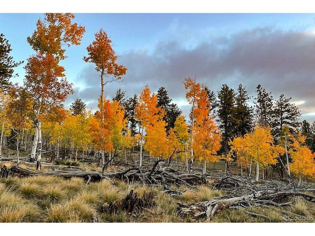 840 Wagon Wheel Rd, Hartsel, CO 80449