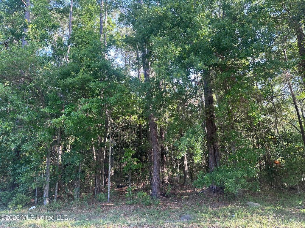 Gregory St. Street, Moss Point, MS 39563