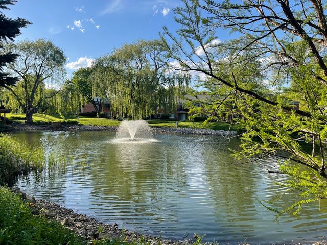 706 E Algonquin Road 204, Arlington Heights, IL 60005