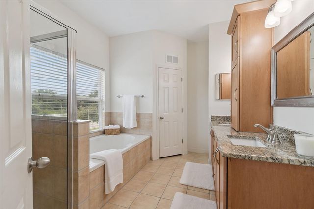 10820 CELTIC WOODS AVENUE, Tampa, FL 33647