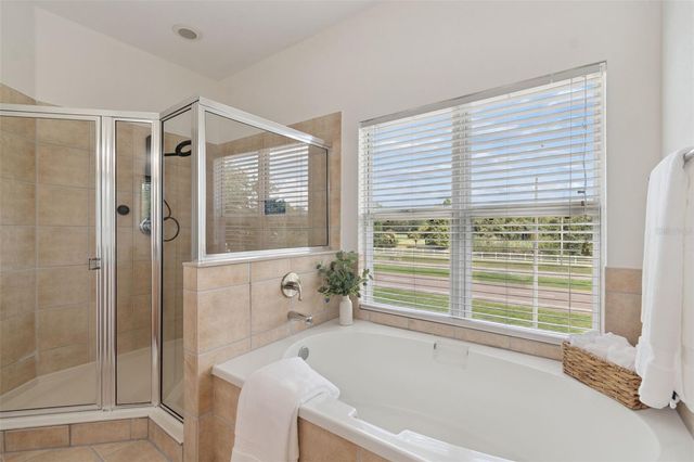 10820 CELTIC WOODS AVENUE, Tampa, FL 33647