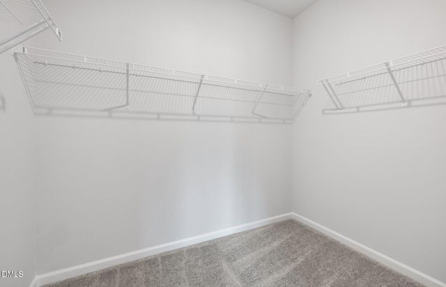 316 Broomside Avenue, Raleigh, NC 27603