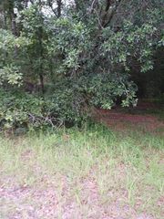 1638 Old Whitesville Road Road, Moncks Corner, SC 29461