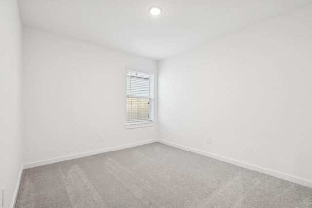 16923 Pin Cherry Leaf Drive, New Caney, TX 77357