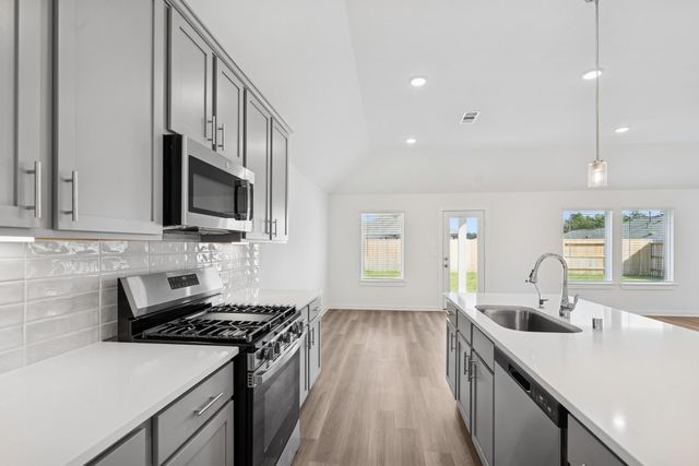 16923 Pin Cherry Leaf Drive, New Caney, TX 77357