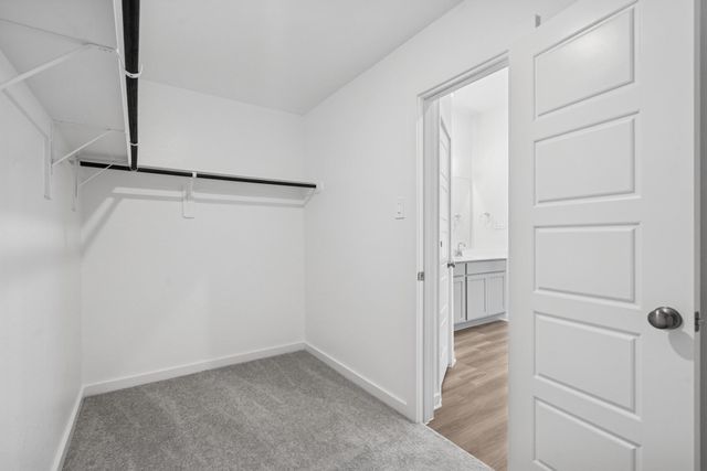 16923 Pin Cherry Leaf Drive, New Caney, TX 77357