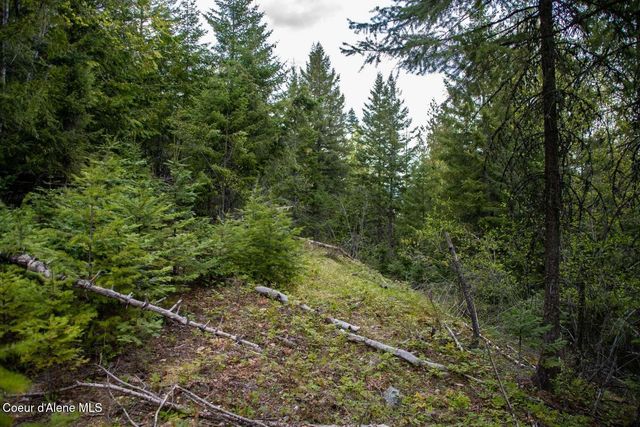 89 Lynx Run RD, Sagle, ID 83860