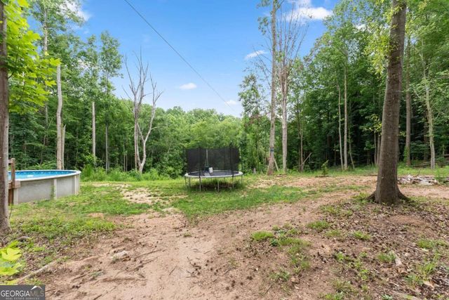 260 Falcon Lane, Carnesville, GA 30521