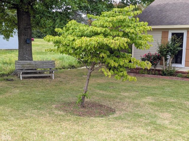 327 Sagewood Drive, Jonesboro, AR 72405