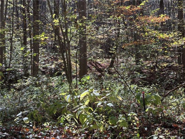 Lot 1 Neals Run Road, Saltlick Twp, PA 15622