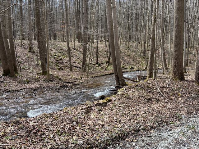 Lot 1 Neals Run Road, Saltlick Twp, PA 15622