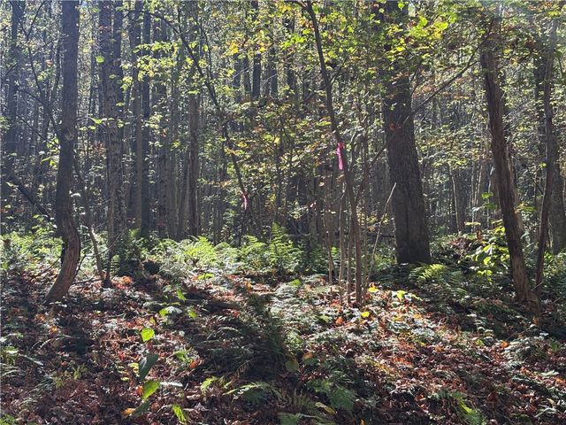 Lot 1 Neals Run Road, Saltlick Twp, PA 15622