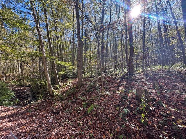 Lot 1 Neals Run Road, Saltlick Twp, PA 15622