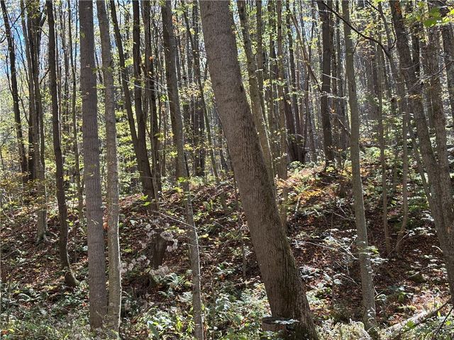 Lot 1 Neals Run Road, Saltlick Twp, PA 15622