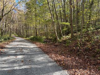 Lot 1 Neals Run Road, Saltlick Twp, PA 15622