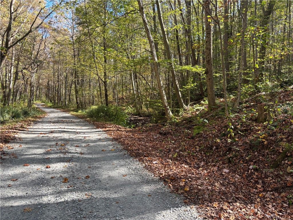 Lot 1 Neals Run Road, Saltlick Twp, PA 15622