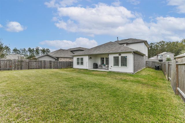 20861 Olive Leaf Street, New Caney, TX 77357
