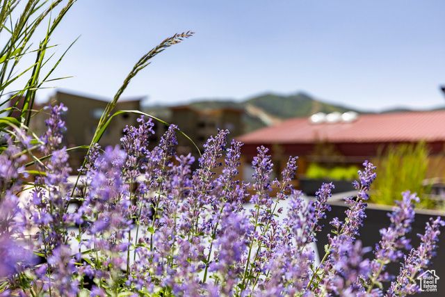 6169 PARK LANE #36, Park City, UT 84098