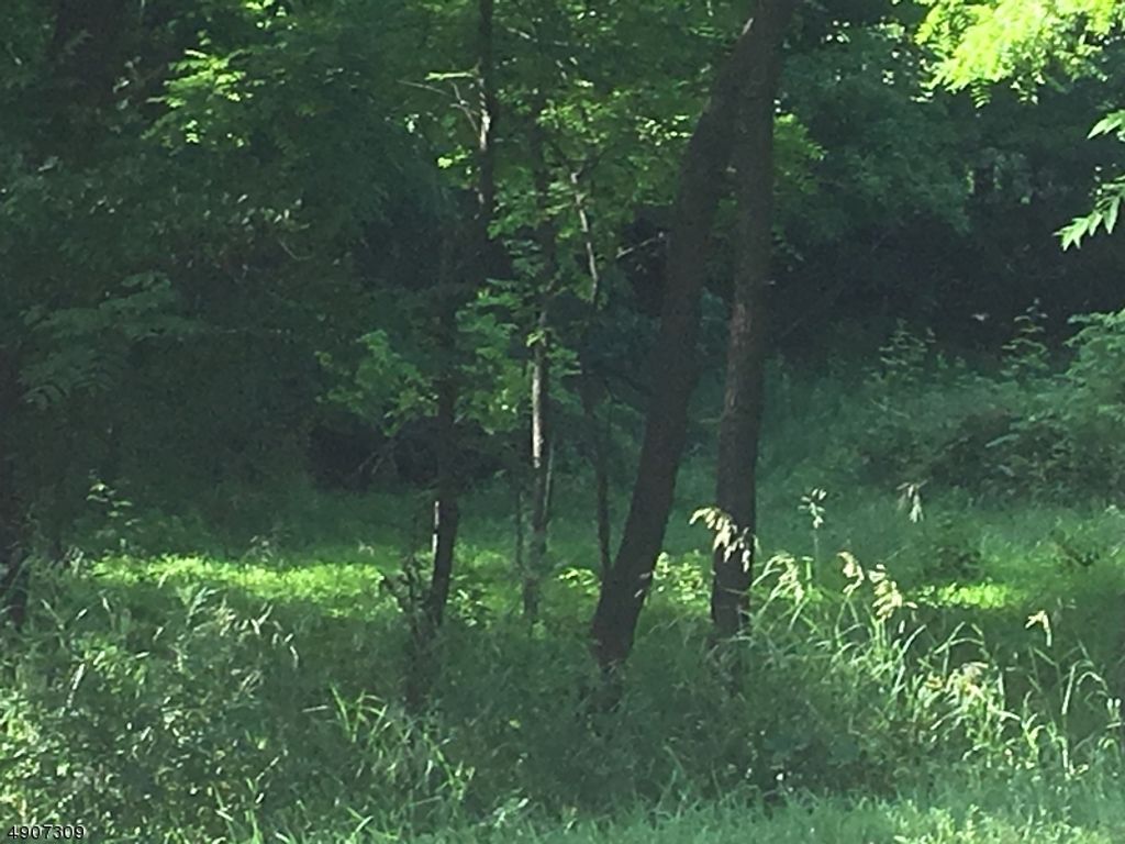 269 Route 94, Vernon Twp., NJ 07462 — photo 5