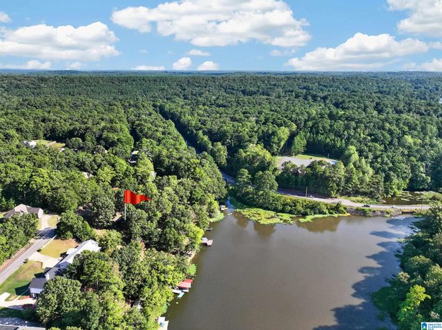13158 ALLISON DRIVE, Lake View, AL 35111