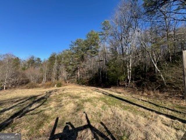 1638 New Stansbury Road, Turtletown, TN 37391