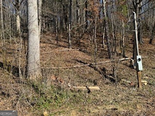 1638 New Stansbury Road, Turtletown, TN 37391