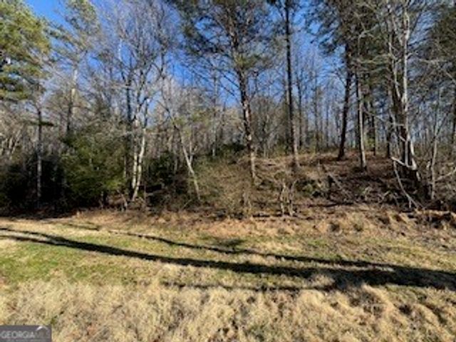 1638 New Stansbury Road, Turtletown, TN 37391