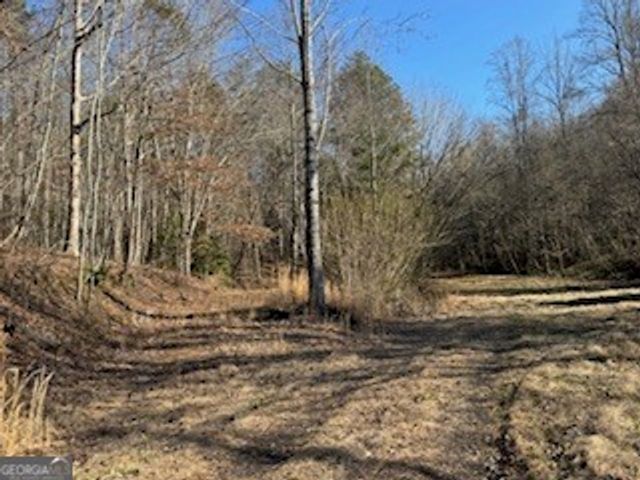 1638 New Stansbury Road, Turtletown, TN 37391