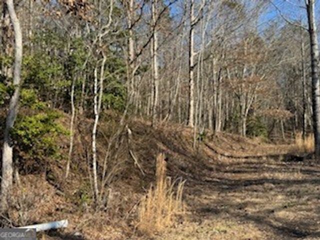 1638 New Stansbury Road, Turtletown, TN 37391