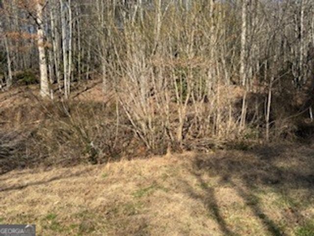 1638 New Stansbury Road, Turtletown, TN 37391
