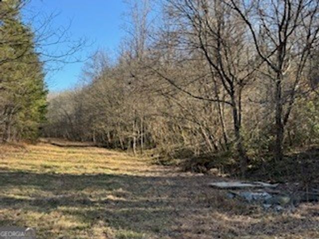1638 New Stansbury Road, Turtletown, TN 37391