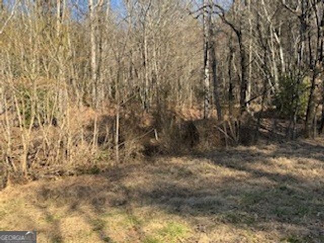 1638 New Stansbury Road, Turtletown, TN 37391