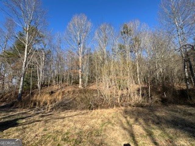 1638 New Stansbury Road, Turtletown, TN 37391