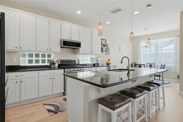 2296 NATOMA BOULEVARD, Mount Dora, FL 32757