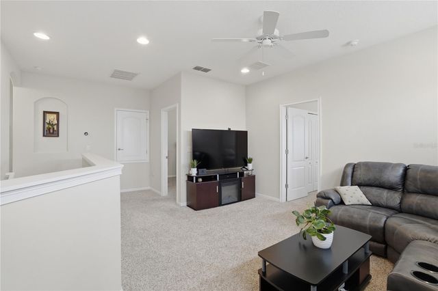 2296 NATOMA BOULEVARD, Mount Dora, FL 32757