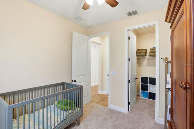 4009 SWAN GOOSE COURT, Okahumpka, FL 34762