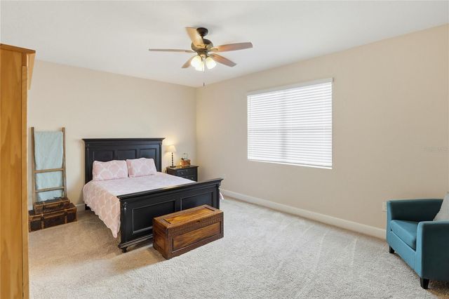 4009 SWAN GOOSE COURT, Okahumpka, FL 34762