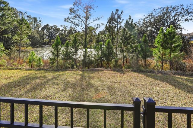 4009 SWAN GOOSE COURT, Okahumpka, FL 34762