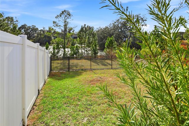 4009 SWAN GOOSE COURT, Okahumpka, FL 34762