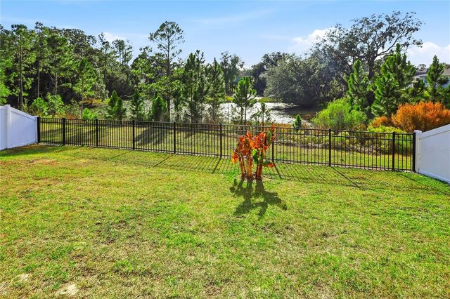 4009 SWAN GOOSE COURT, Okahumpka, FL 34762