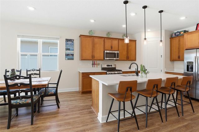 4009 SWAN GOOSE COURT, Okahumpka, FL 34762