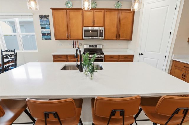 4009 SWAN GOOSE COURT, Okahumpka, FL 34762