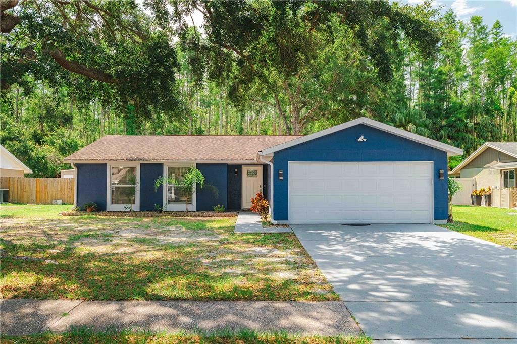 5346 BLACK PINE DRIVE, Tampa, FL 33624