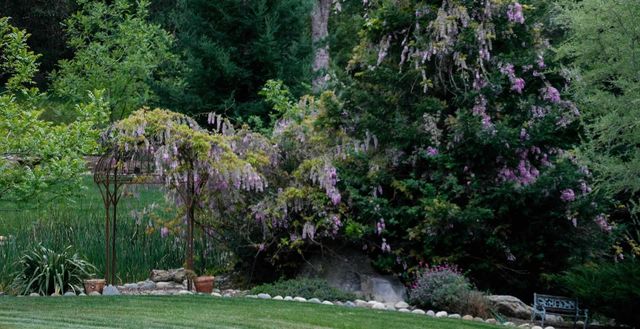 581 Cold Springs Rd, Placerville, CA 95667