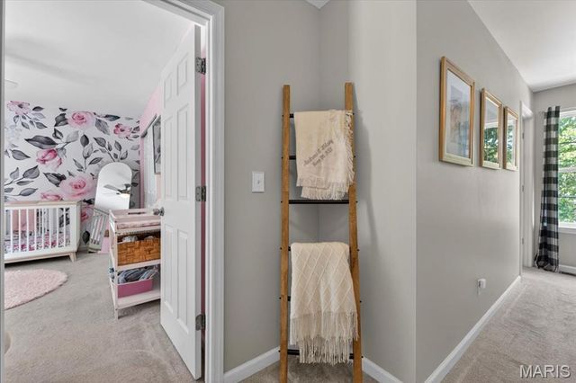 10 Francis Avenue, Valley Park, MO 63088
