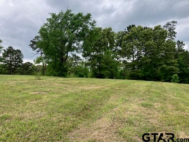 TBD Ridgeline Loop Lot 92, Winona, TX 75792