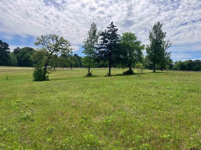 TBD Ridgeline Loop Lot 92, Winona, TX 75792